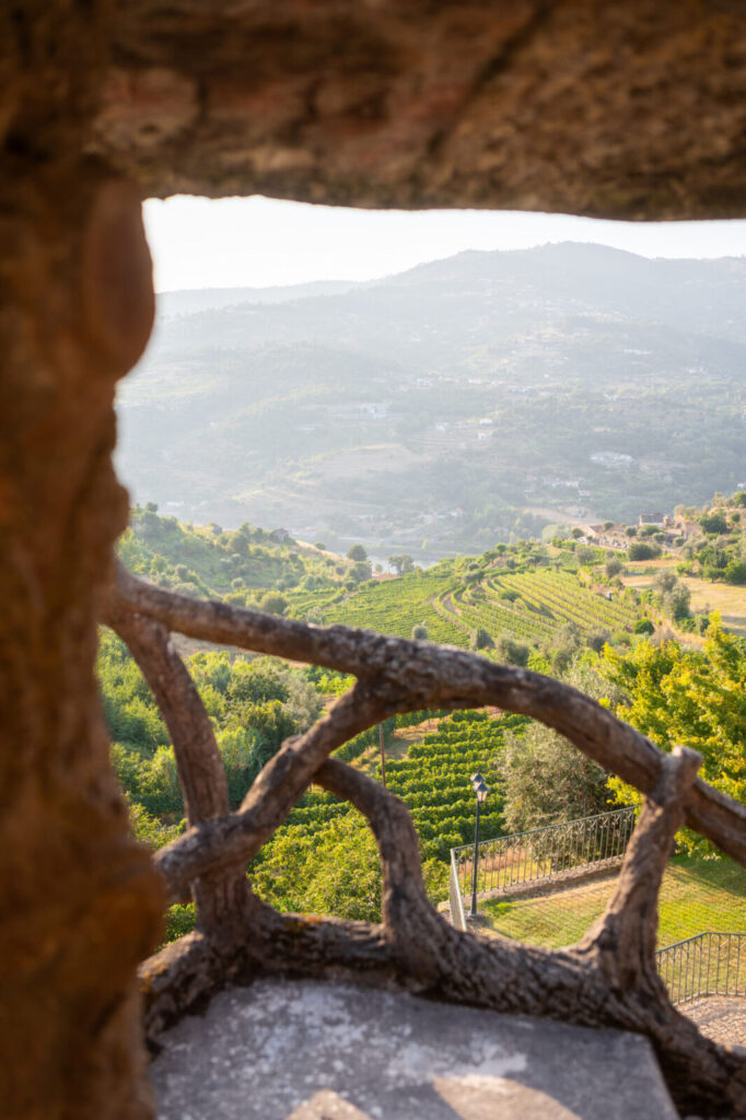 Collines verdoyantes vues derrière une rambarde en bois