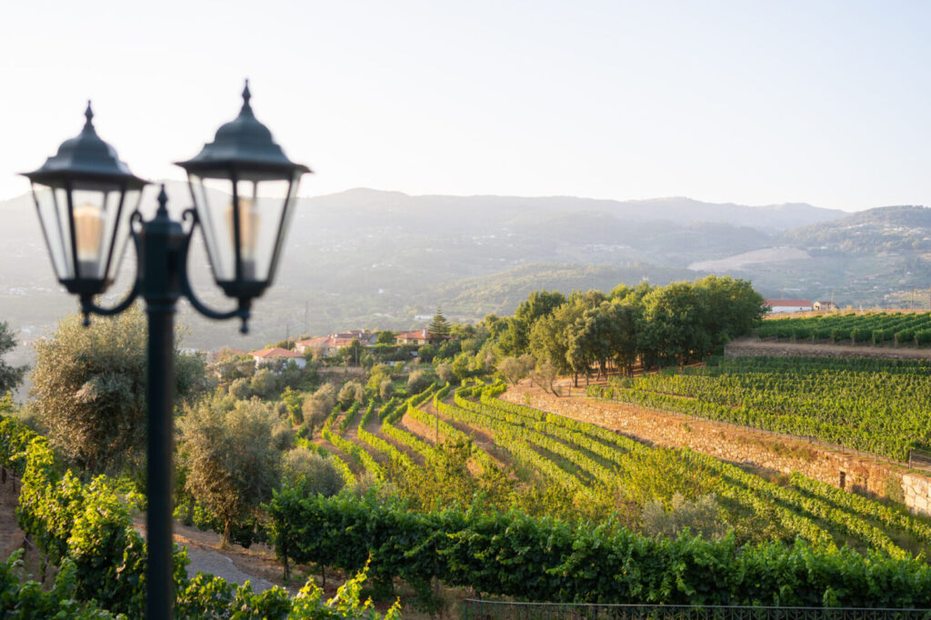 Lampadaire devant des vignobles en terrasses et collines